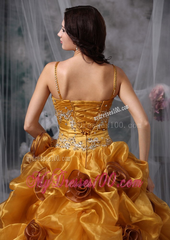 Brown Ball Gown Straps Beading and Appliques Quinceanera Dress Pick-ups